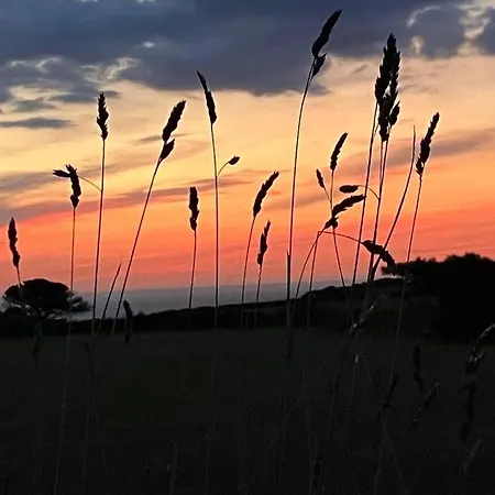 Zen Den Cornwall Holiday home *
